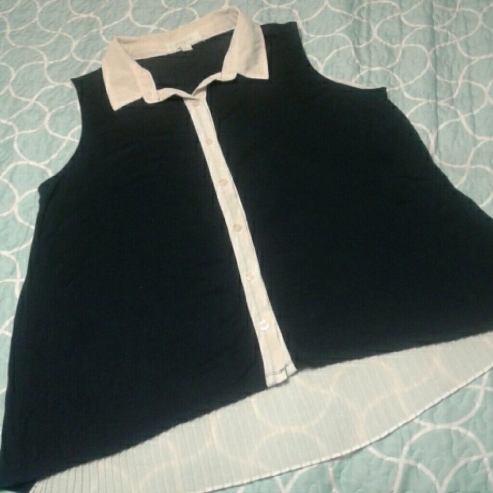 Pinque Blue Sleeveless Shirt Pleated Back Large